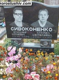 Подвійний пам'ятник з граніту ДМ-231
