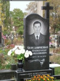 Одинарные памятники из гранита ОМ-461