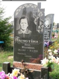 Одинарные памятники из гранита ОМ-422