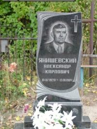 Одинарный памятник с гранита ОМ-392